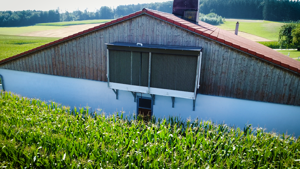 Videomaterial moderne Stallklimatisierung