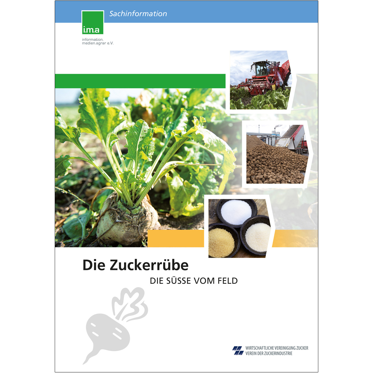 Sachinformation Die Zuckerrübe