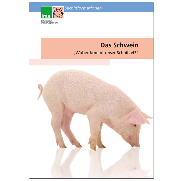 Sachinformation Das Schwein