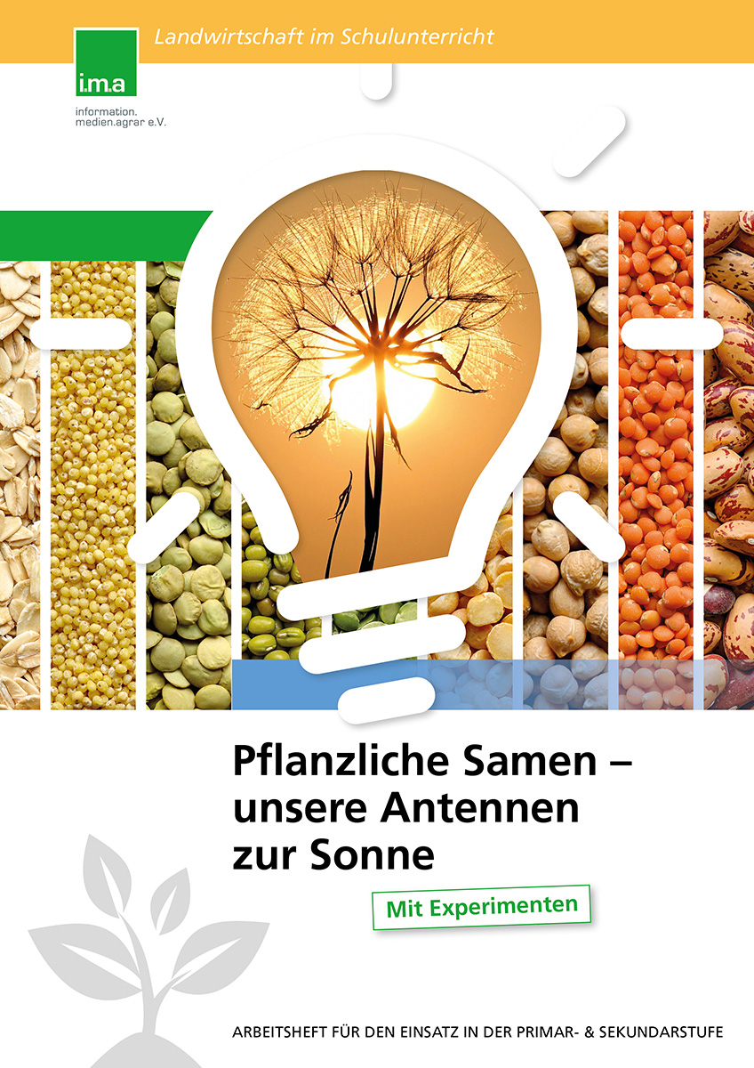 Pflanzliche Samen - unsere Antennen zur Sonne