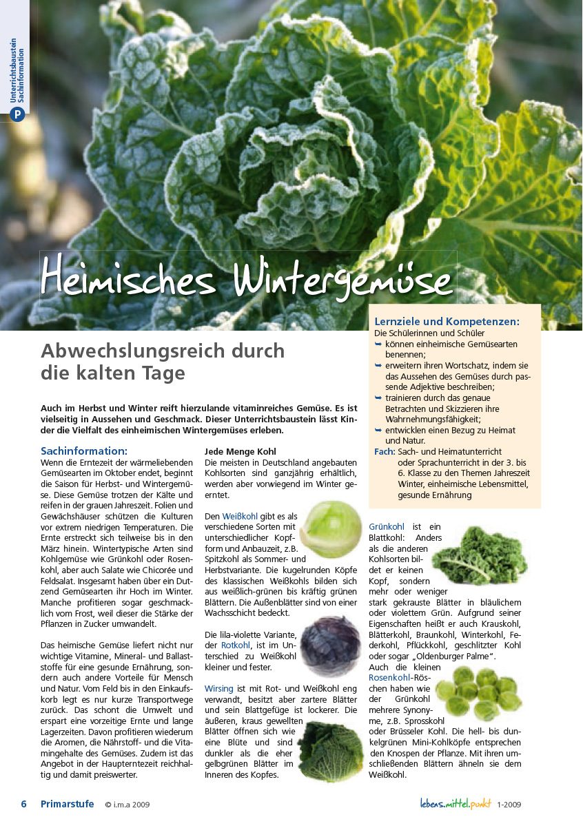 Heimisches Wintergemüse - Abwechslungsreich durch die kalten Tage