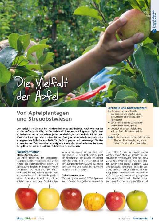 Die Vielfalt der Äpfel - Von Apfelplantagen und Streuobstwiesen