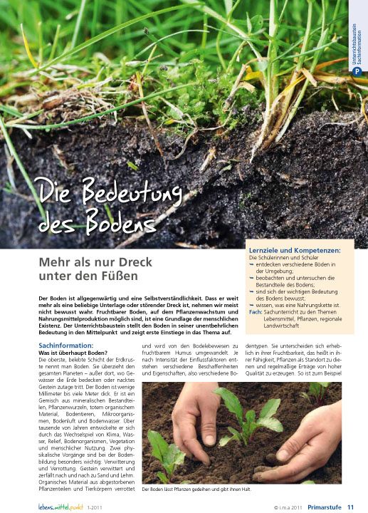 Die Bedeutung des Bodens - Mehr als nur Dreck unter den Füßen