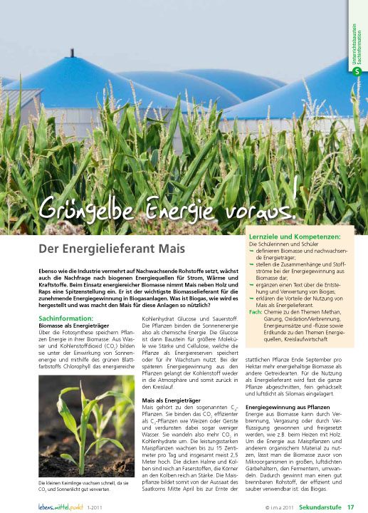 Grüngelbe Energie voraus - - Der Energielieferant Mais