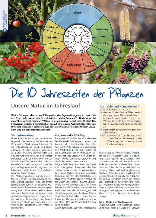 Die 10 Jahreszeiten der Pflanzen -  Unsere Natur im Jahreslauf