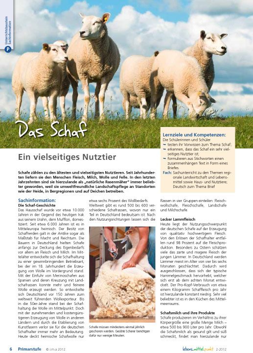 Das Schaf - Ein vielseitiges Nutztier