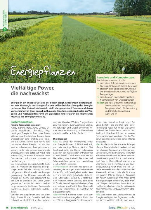Energiepflanzen - Vielfältige Power, die nachwächst