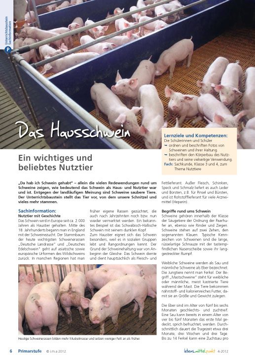 Das Hausschwein - Ein wichtiges und beliebtes Nutztier