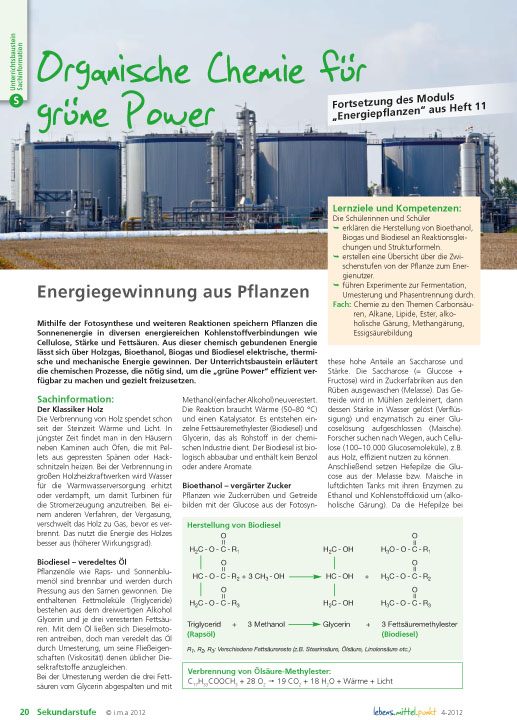 Organische Chemie für grüne Power -  Energiegewinnung aus Pflanzen