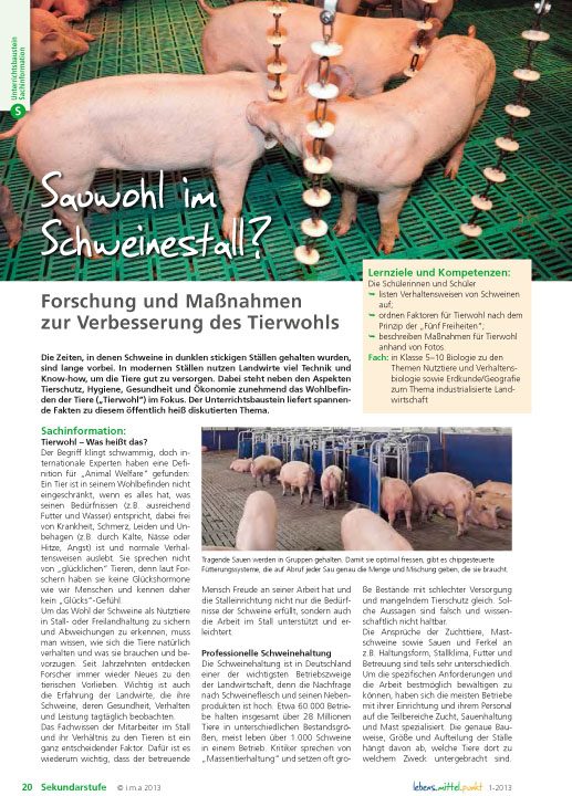 Sauwohl im Schweinestall? - Forschung und Maßnahmen zur Verbesserung des Tierwohls