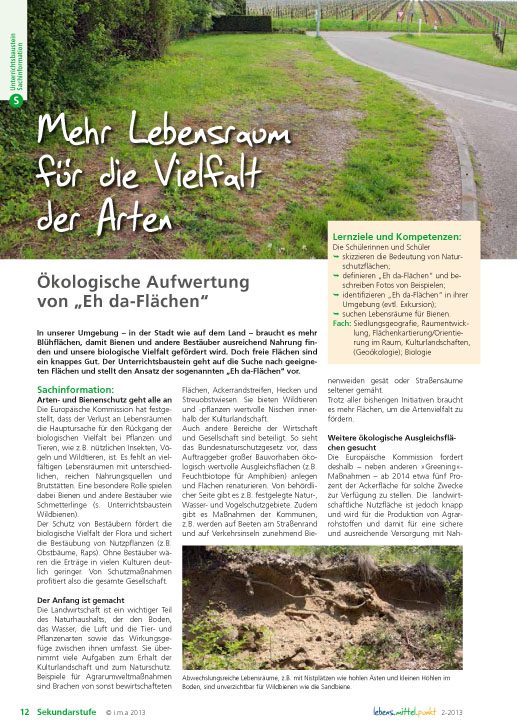 Mehr Lebensraum für die Vielfalt der Arten -  Ökologische Aufwertung von "Eh da-Flächen"