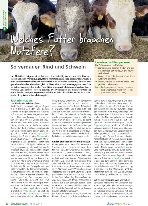 Welches Futter brauchen Nutztiere? - So verdauen Rind und Schwein
