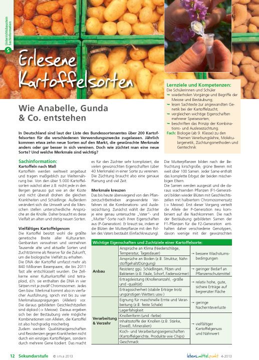 Erlesene Kartoffelsorten - Wie Anabelle, Gunda & Co. entstehen