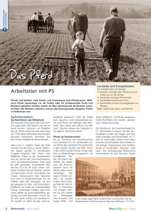 Das Pferd - Arbeitstier mit PS