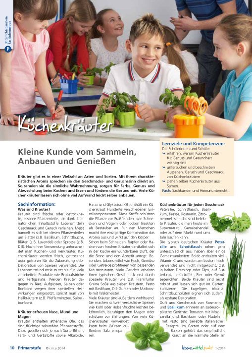 Küchenkräuter - Kleine Kunde vom Sammeln, Anbauen und Genießen