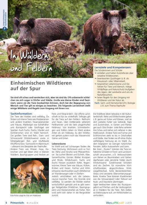 In Wäldern und Feldern - Einheimischen Wildtieren auf der Spur
