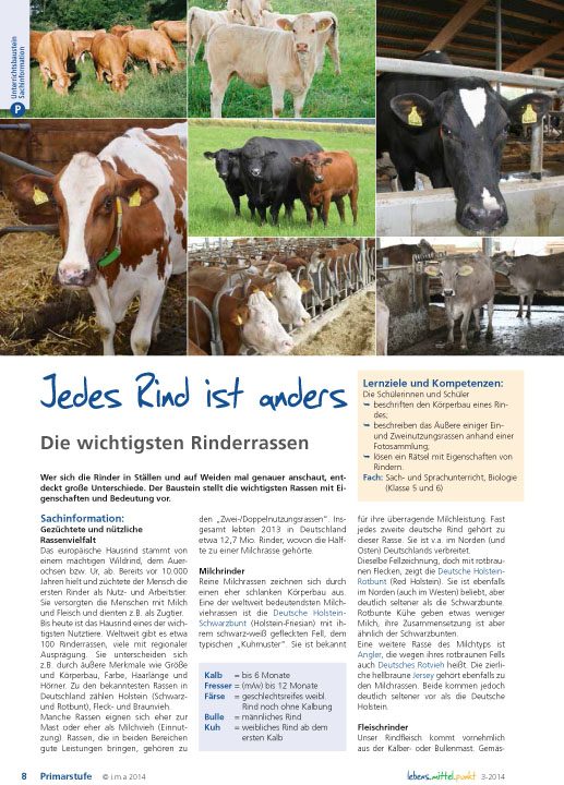 Jedes Rind ist anders - Die wichtigsten Rinderrassen
