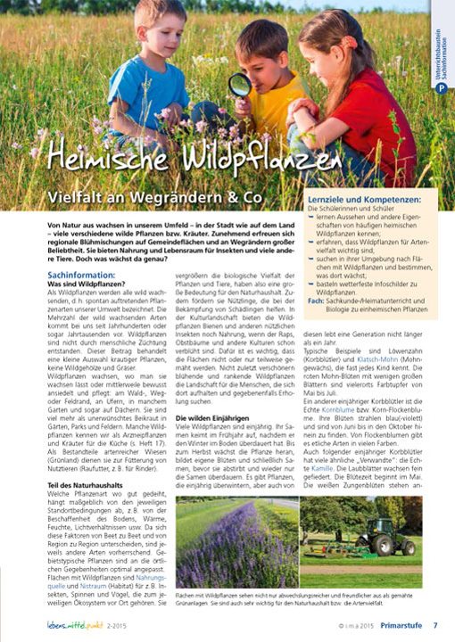 Heimische Wildpflanzen - Vielfalt an Wegrändern & Co