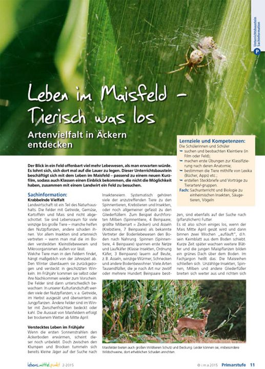 Leben im Maisfeld - Tierisch was los - Artenvielfalt in Äckern entdecken