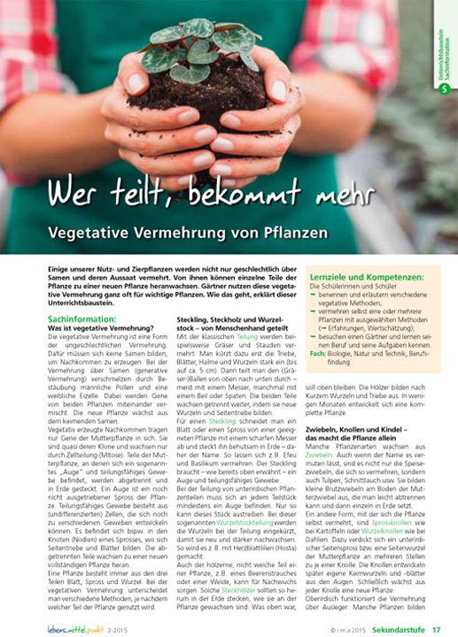 Wer teilt, bekommt mehr - Vegetative Vermehrung von Pflanzen
