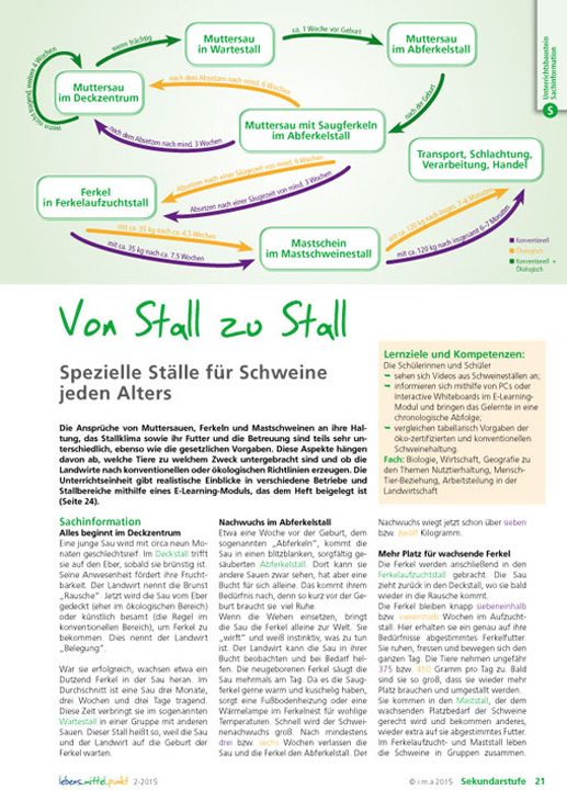 Von Stall zu Stall - Spezielle Ställe für Schweine jeden Alters