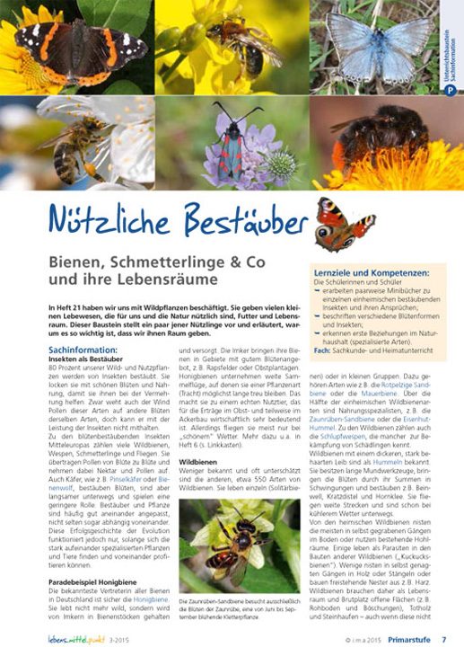 Nützliche Bestäuber - Bienen, Schmetterlinge & Co und ihre Lebensräume