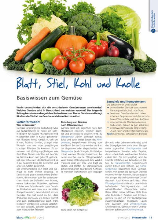 Blatt, Stiel, Kohl und Knolle - Basiswissen zum Gemüse