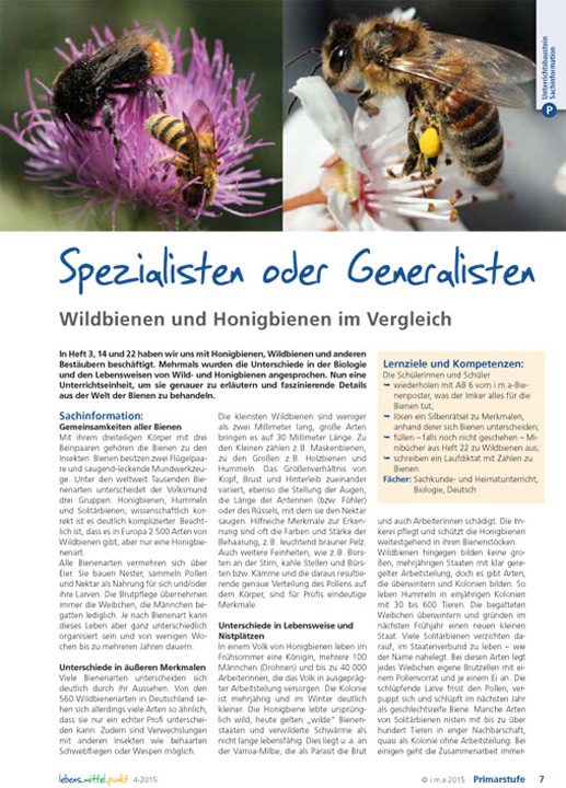 Spezialisten oder Generalisten - Wildbienen und Honigbienen im Vergleich