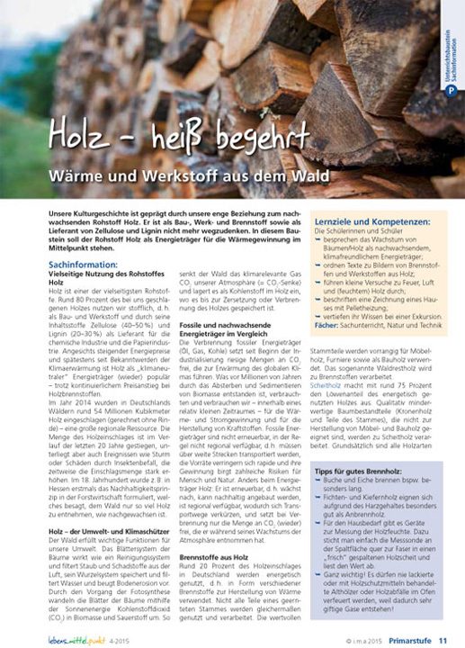 Holz - heiß begehrt - Wärme und Werkstoff aus dem Wald