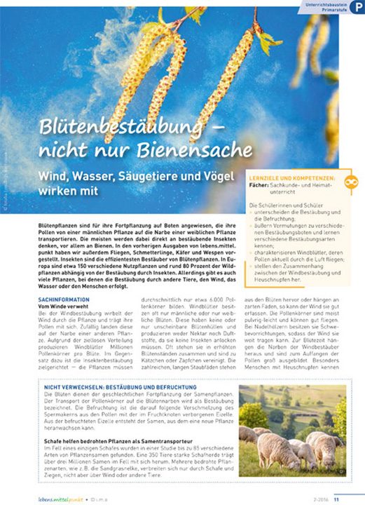 Blütenbestäubung -  nicht nur Bienensache
