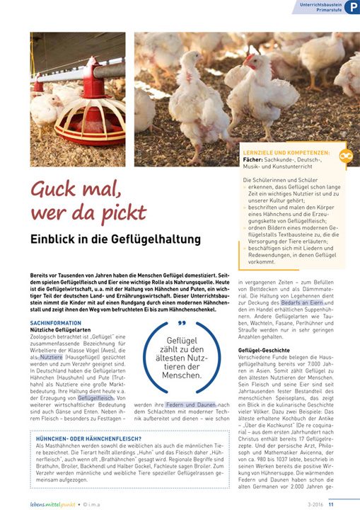 Guck mal wer da pickt -  Einblick in die Geflügelhaltung