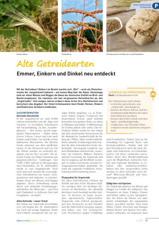 Alte Getreidearten - Emmer, Einkorn und Dinkel neu entdeckt