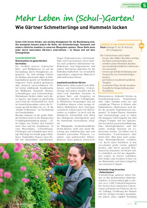Mehr Leben im (Schul-) Garten! - Wie Gärtner Schmetterlinge und Hummeln locken