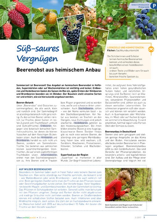 Süß-saueres Vergnügen - Beerenobst aus heimischem Anbau