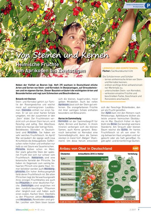 Von Steinen und Kernen - Heimische Früchte von Aprikosen bis Zwetschgen