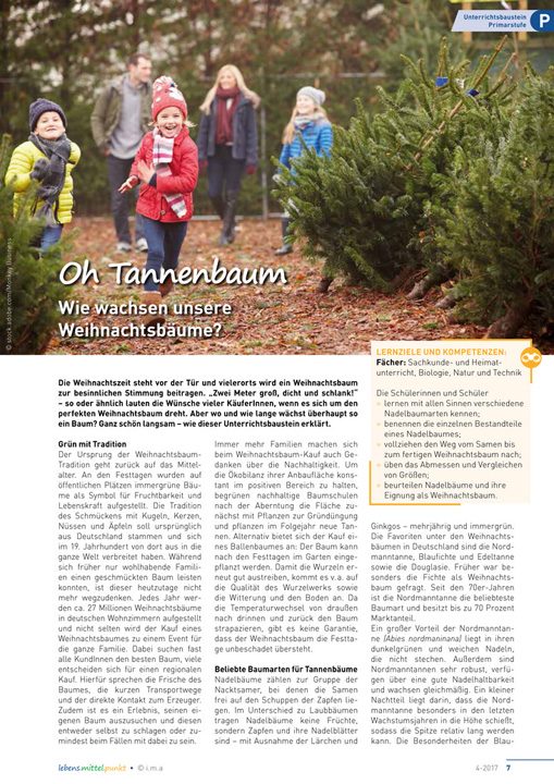 Oh Tannenbaum - Wie wachsen unsere Weihnachtsbäume?