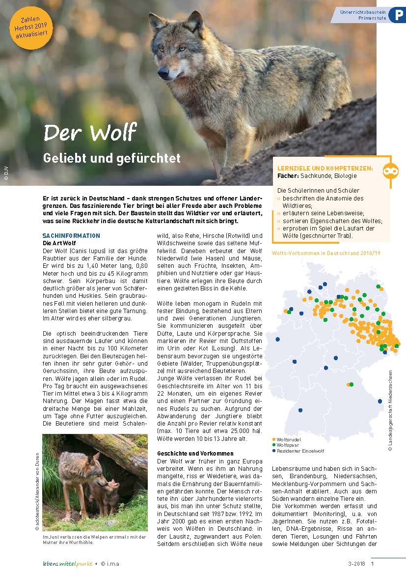 Der Wolf -  Geliebt und gefürchtet