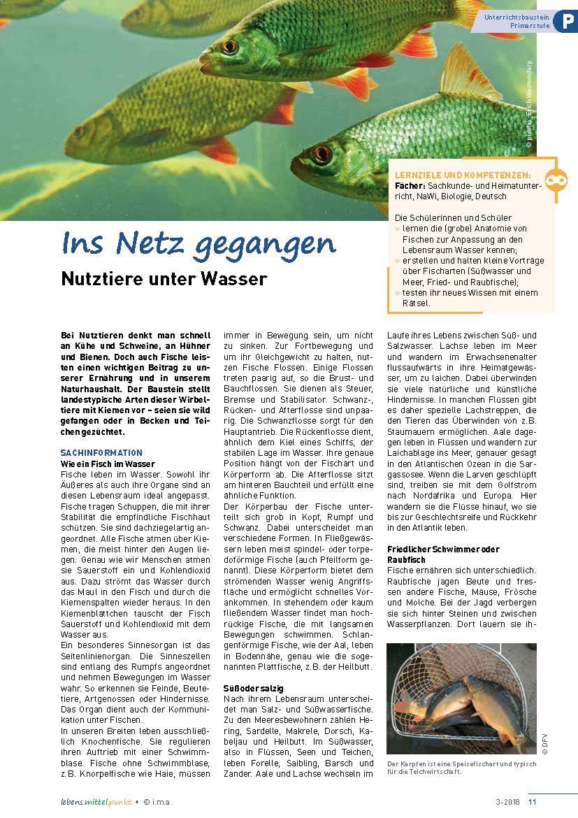 Ins Netz gegangen - Nutztiere unter Wasser