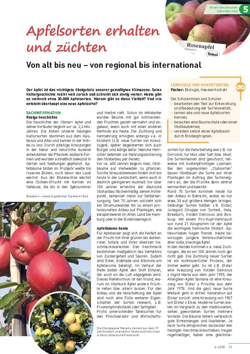 Apfelsorten erhalten und züchten - Von alt bis neu - von regional bis international
