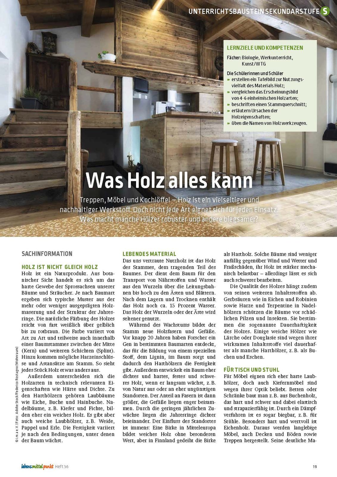 Was Holz alles kann - Holzarten und Werkstoffe (Zusätzliches Online-Material)
