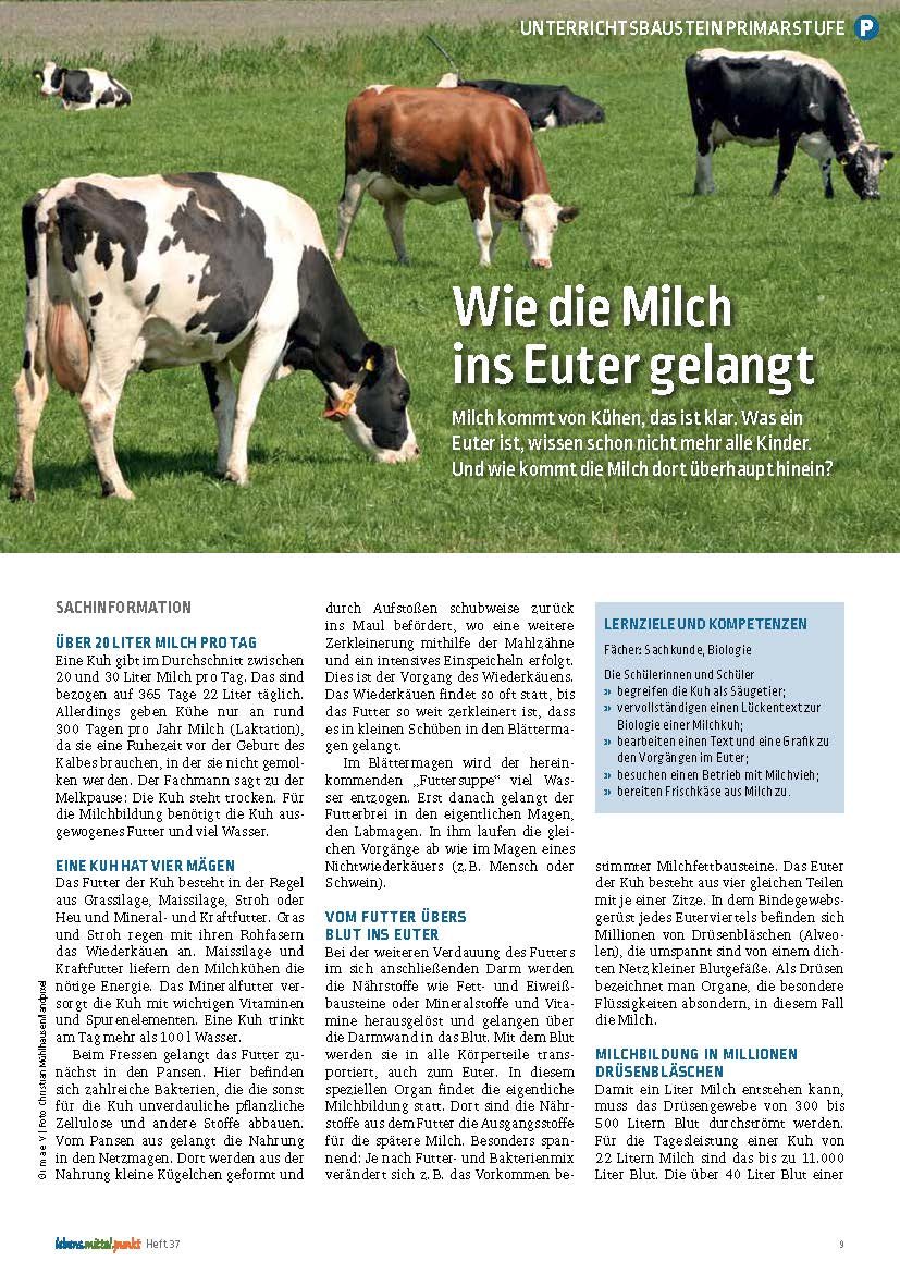 Wie die Milch ins Euter gelangt