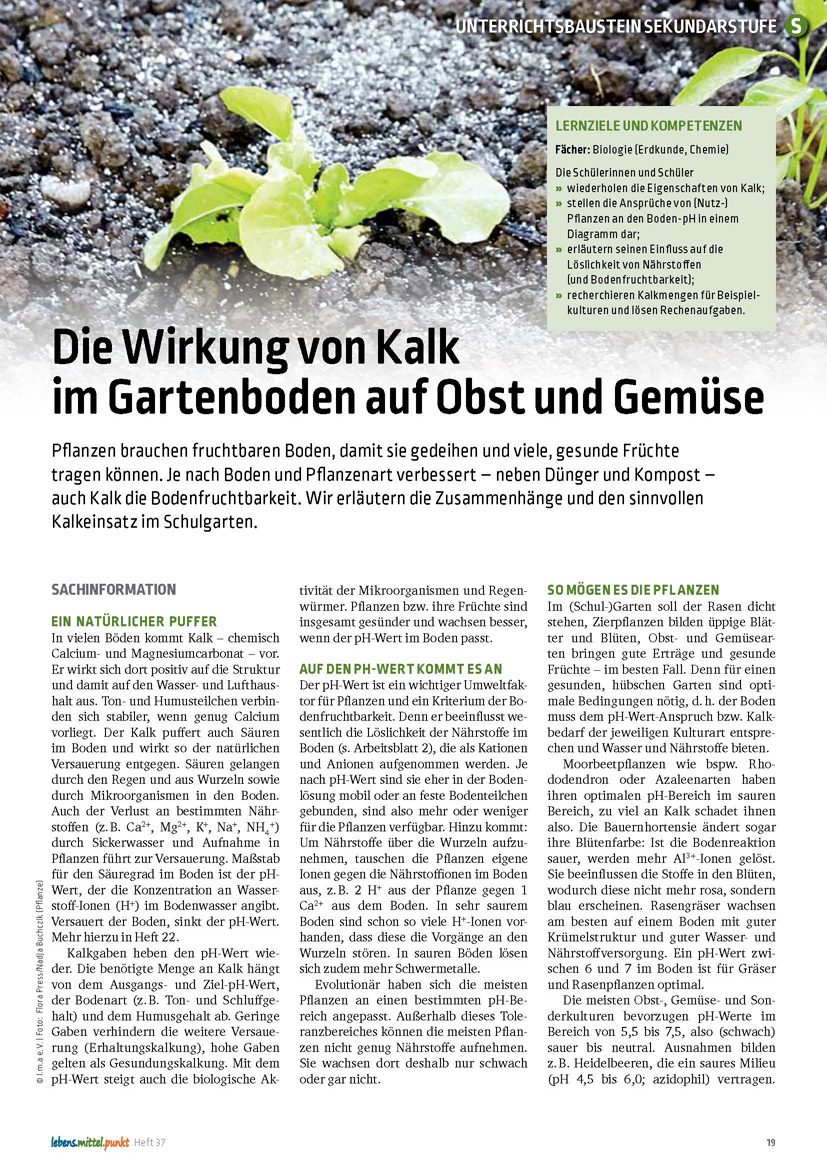 Kalkwirkung im Garten - Kalk für Obst und Gemüse (zusätzliches Online-Material)