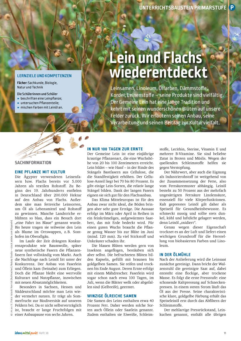 Lein und Flachs wiederentdeckt - Leinsamen, Linoleum, Ölfarben, Dämmstoffe, Kordel, Leinenstoffe – seine Produkte sind vielfältig