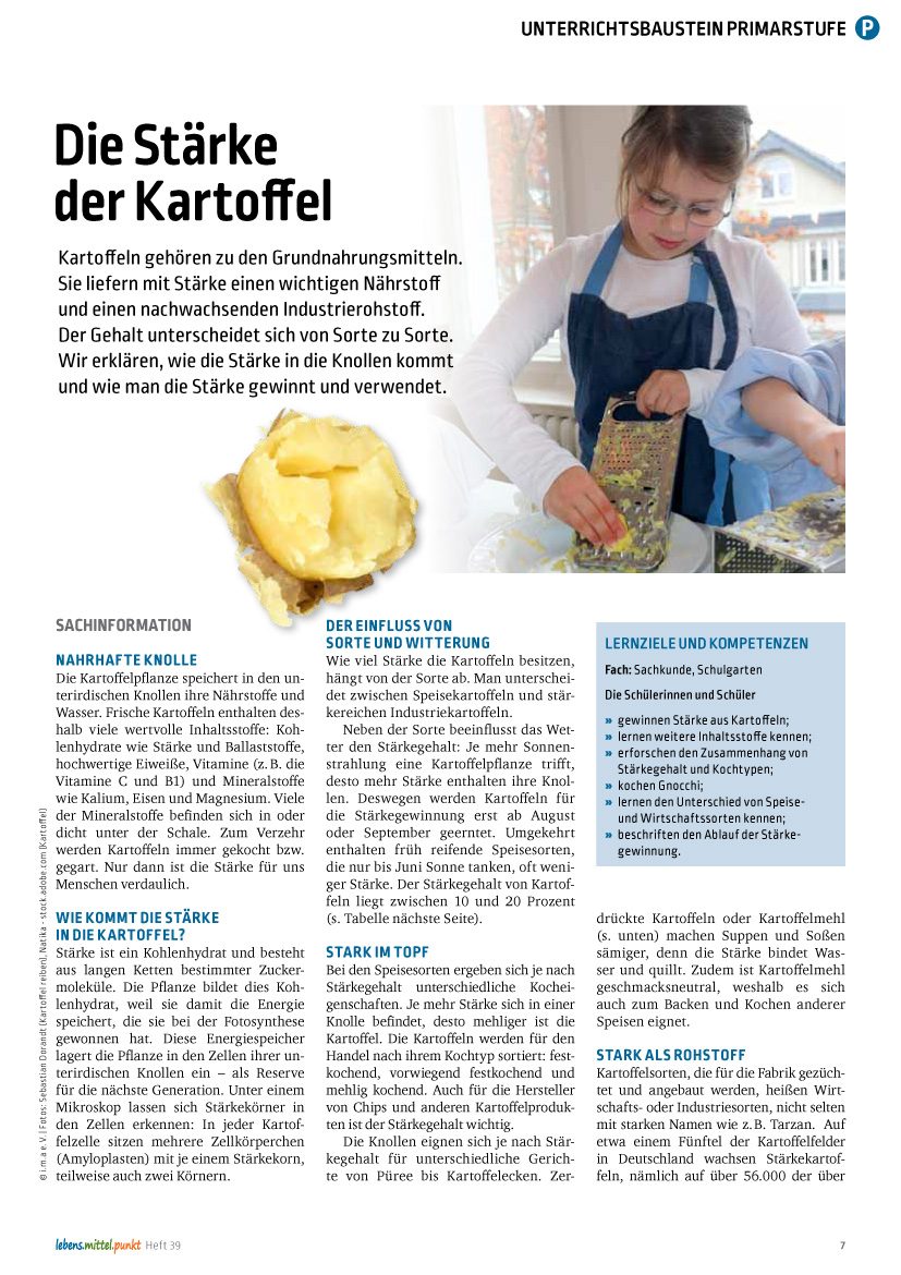 Die Stärke der Kartoffel - Grundnahrungsmittel Kartoffel