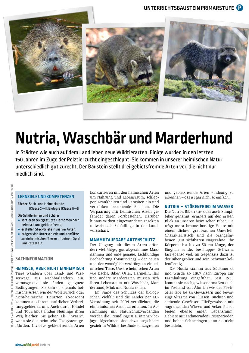 Nutria, Waschbär und Marderhund - Neue Wildtierarten