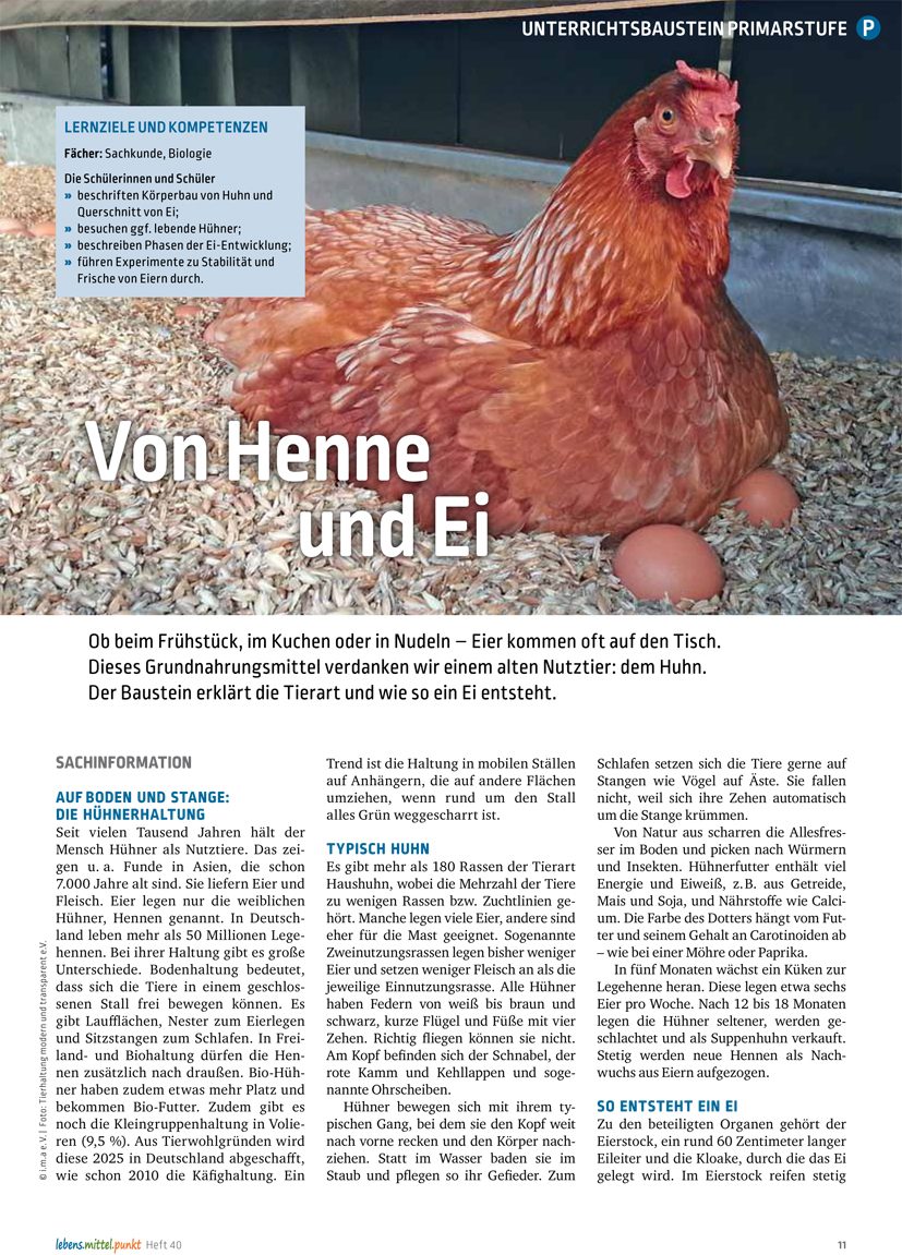 Von Henne und Ei - Die Hühnerhaltung
