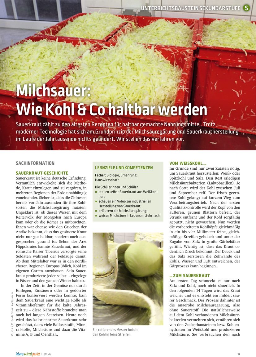 Milchsauer - Wie Kohl & Co haltbar werden