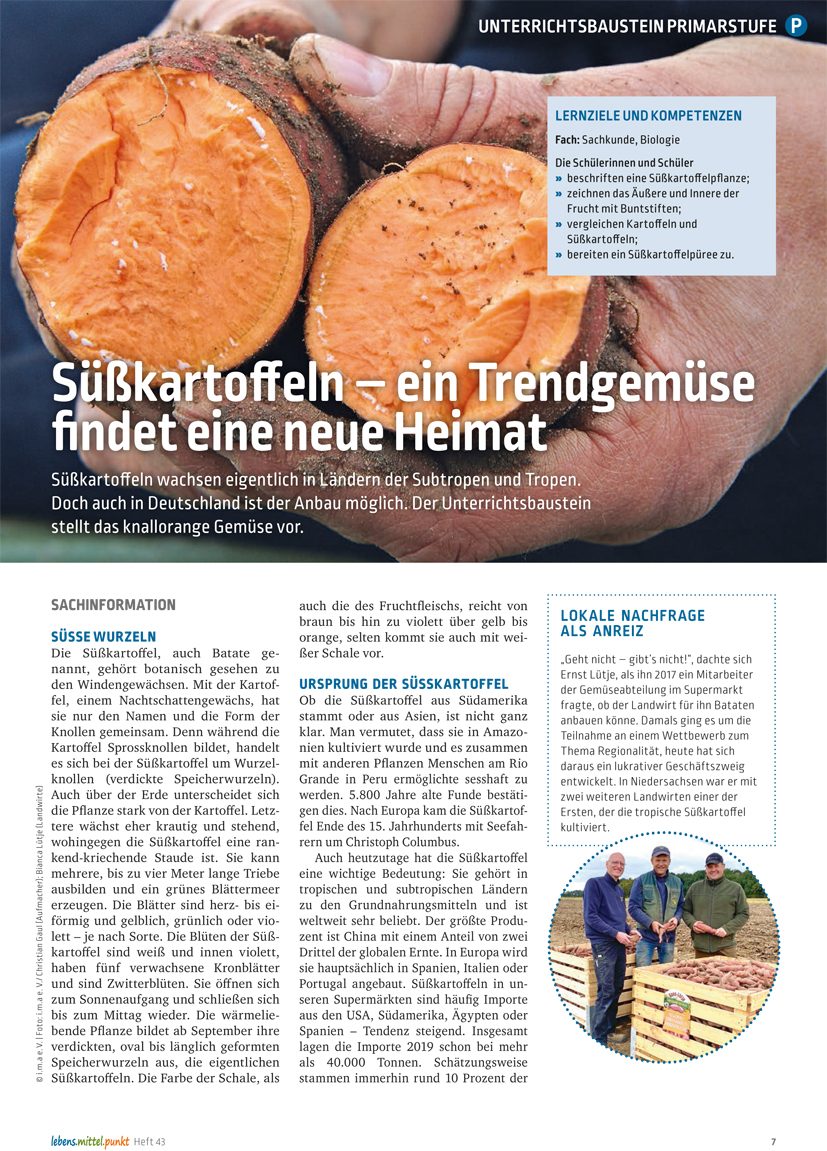 Süßkartoffeln - Trendgemüse mit neuer Heimat