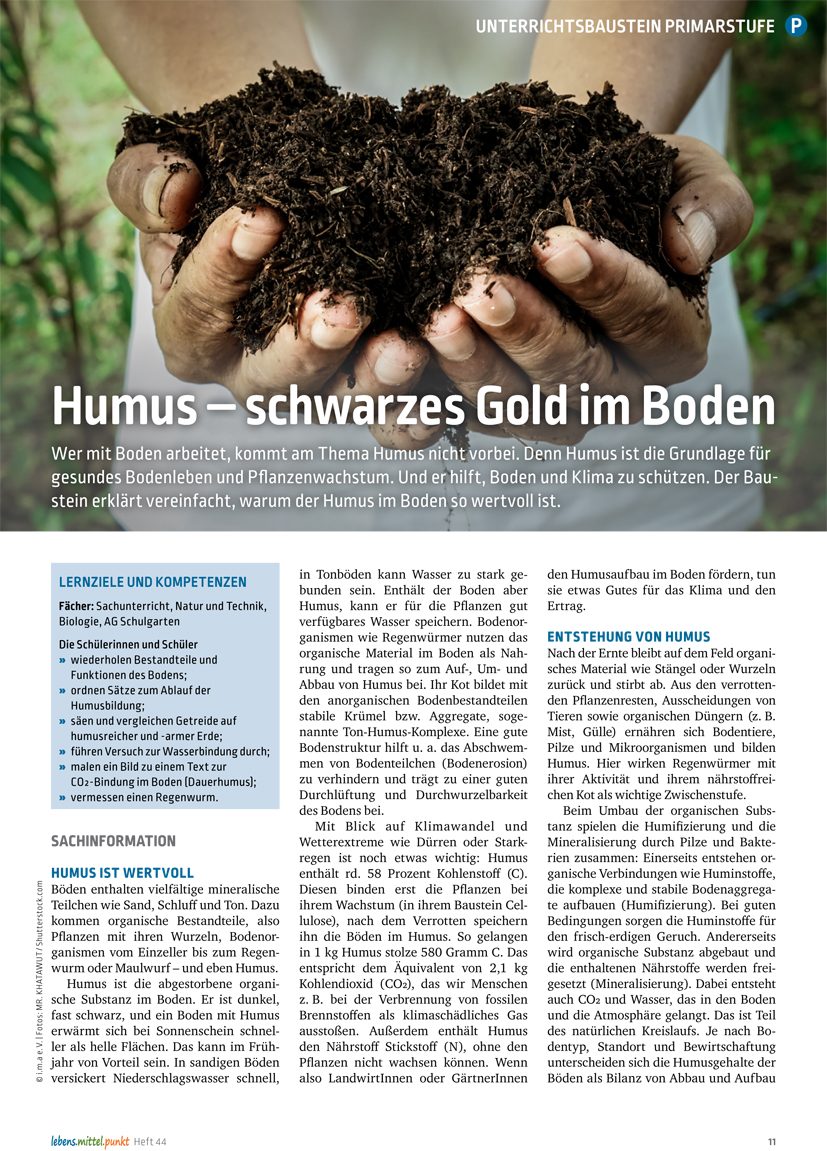 Humus - Schwarzes Gold im Boden