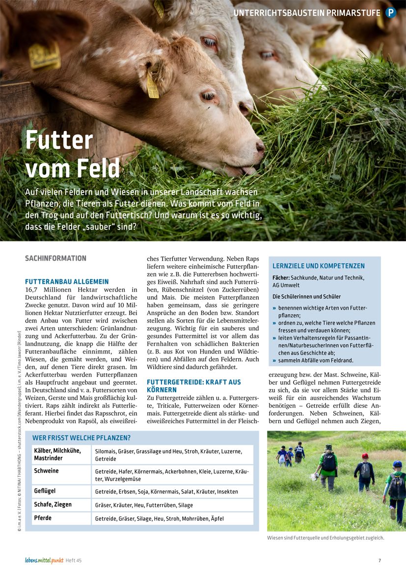 Futter vom Feld - Wer frisst welche Pflanzen?